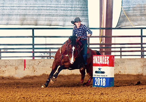 Sophomore Megan Miller guides her horse Rumor at state. State was held in Abilene, Texas. 