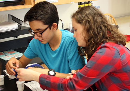 Sophomore Patric Iiams and junior Alyssa Scarsella add some chemicals to a solution to try and discover the pH of the solution for a chemistry lab on May 7.