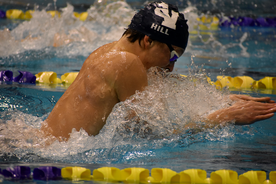 Carter Hill swims the 100 meter breaststroke at the 2019 regional championship.