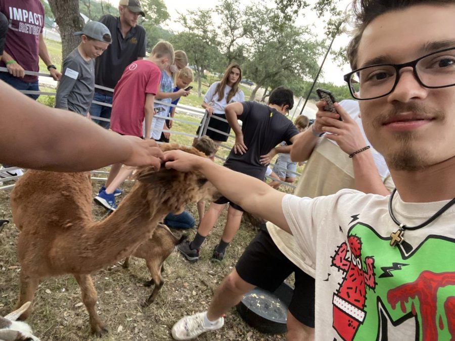 Senior Jackson Posey pets an alpaca at a local petting zoo exhibition. Posey promised to shave his controversial mustache upon raising $1,000 for hurricane relief. 
