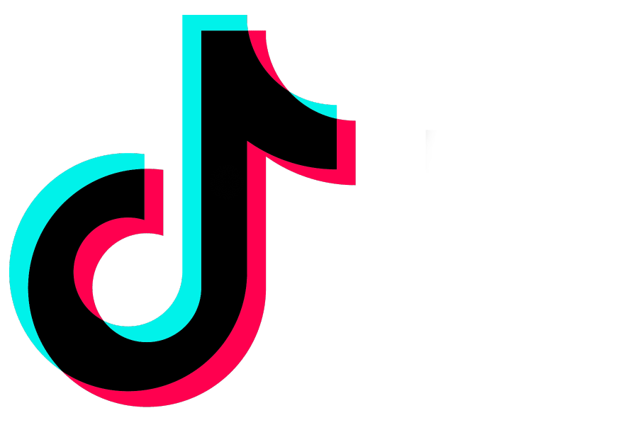 Company ByteDances hit app TikTok released 2016, emerging from Musical.lys ashes.