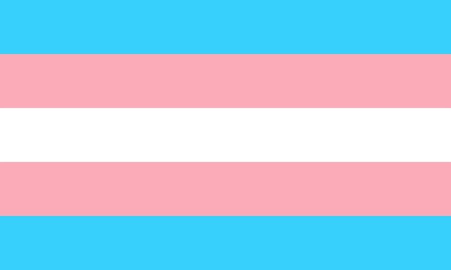 The transgender flag was designed by trans woman Monica Helms in 1999.