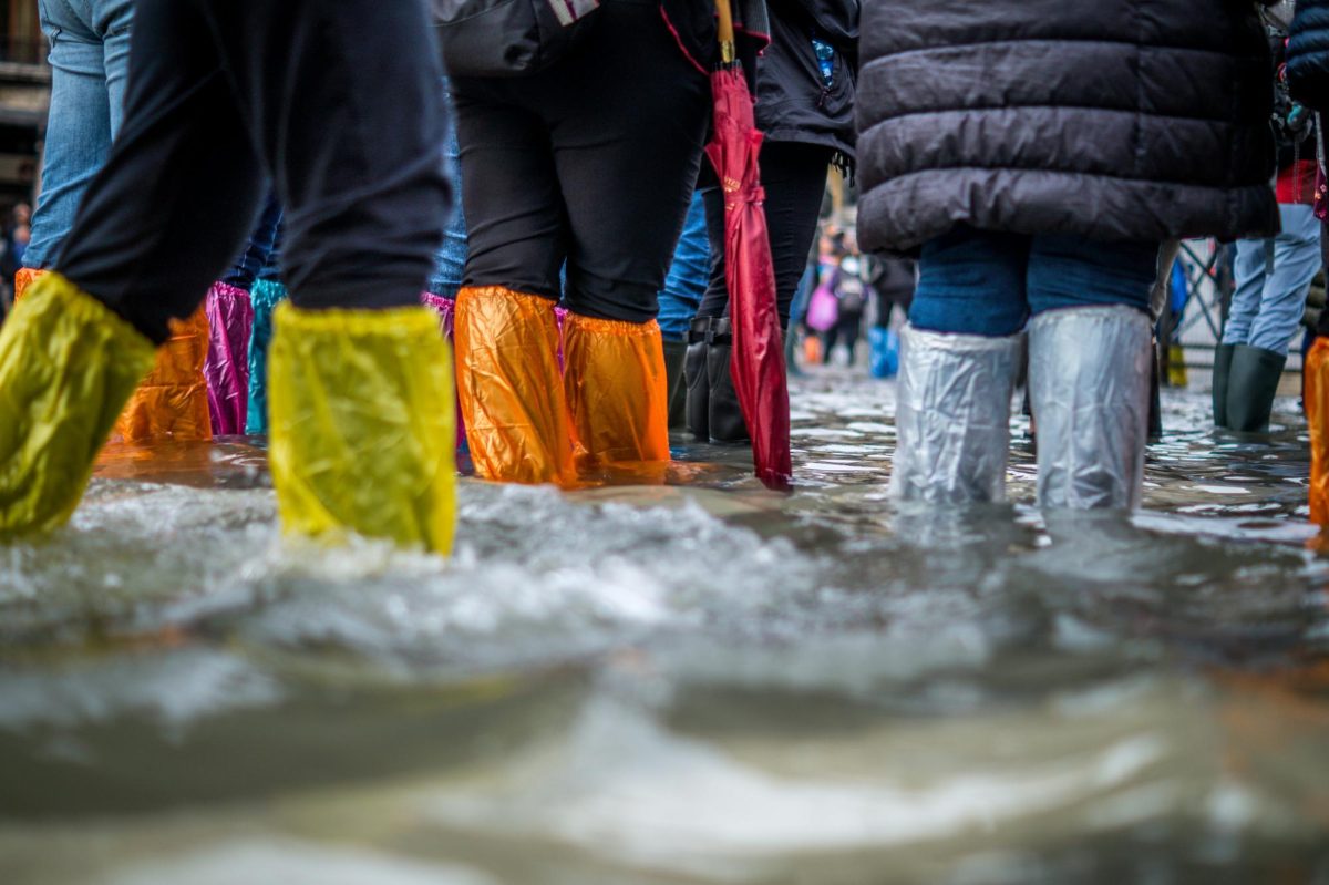 Millions are impacted by the devastation caused by Hurricane Helene. Non-profit organizations such as American red Cross, the Salvation Army, and more help those in need.